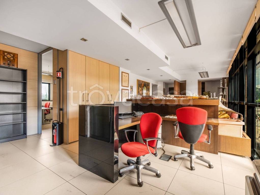 immagine annuncio 3 di 12