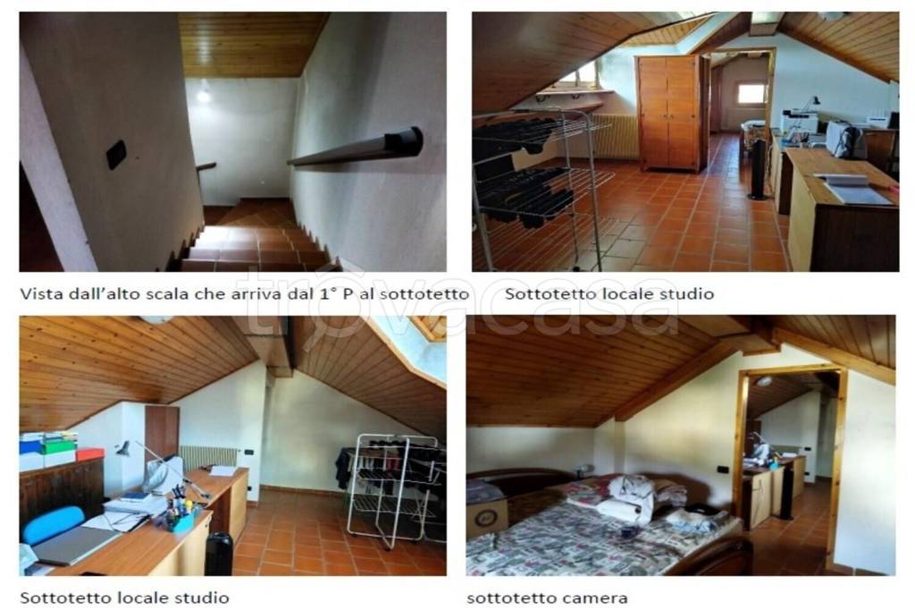 immagine annuncio 3 di 14