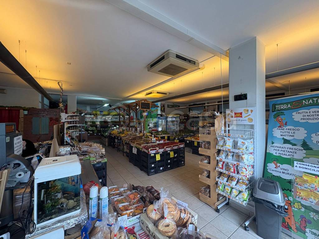 immagine annuncio 2 di 6