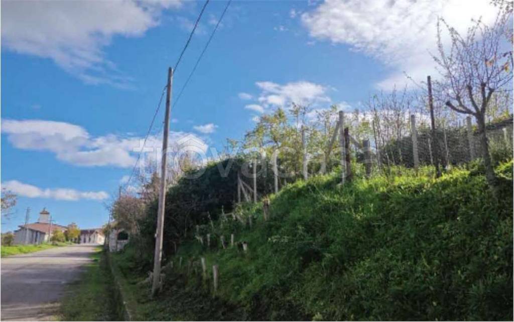 immagine annuncio 3 di 13