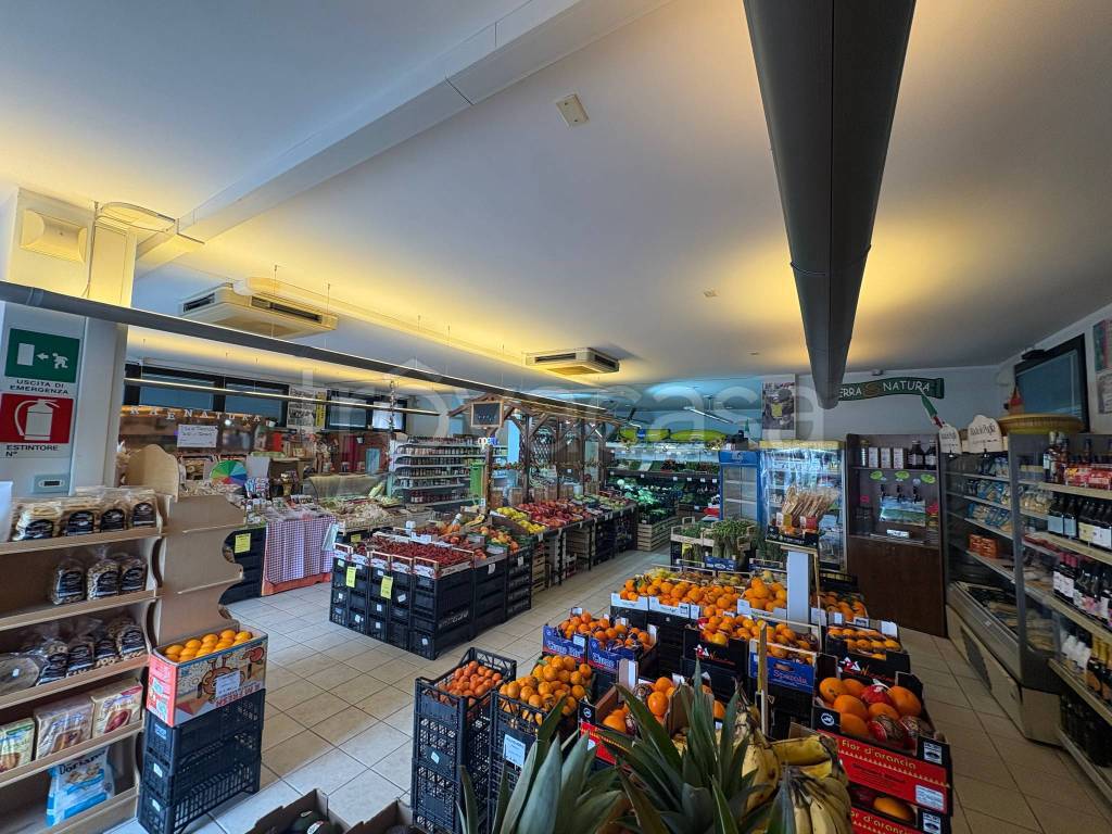 immagine annuncio 5 di 6