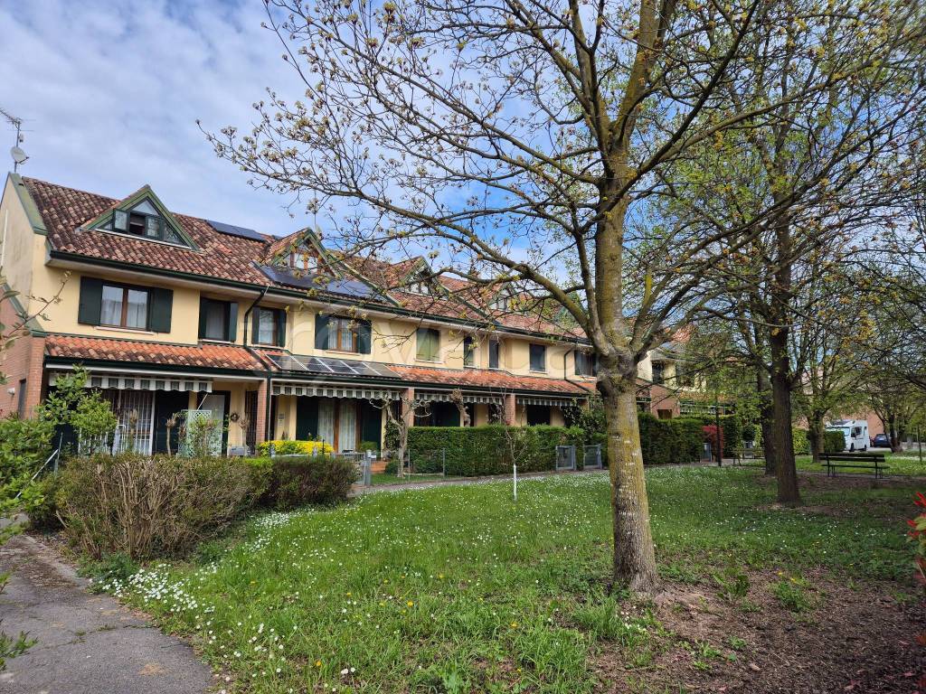 immagine annuncio 4 di 9