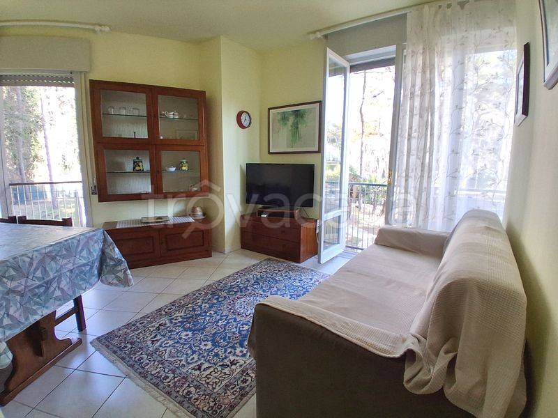 immagine annuncio 2 di 12