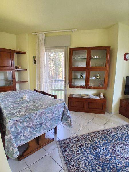 immagine annuncio 4 di 12