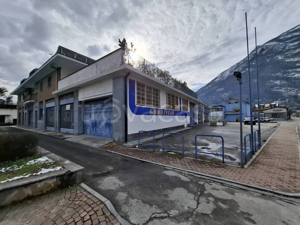 immagine annuncio 1 di 12