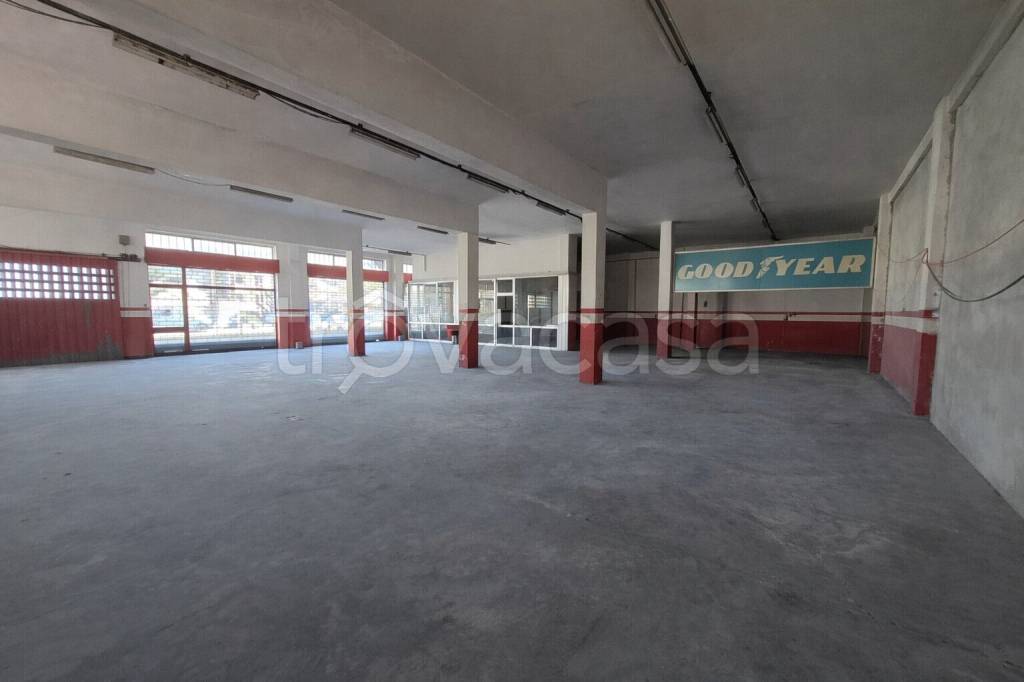 immagine annuncio 3 di 12