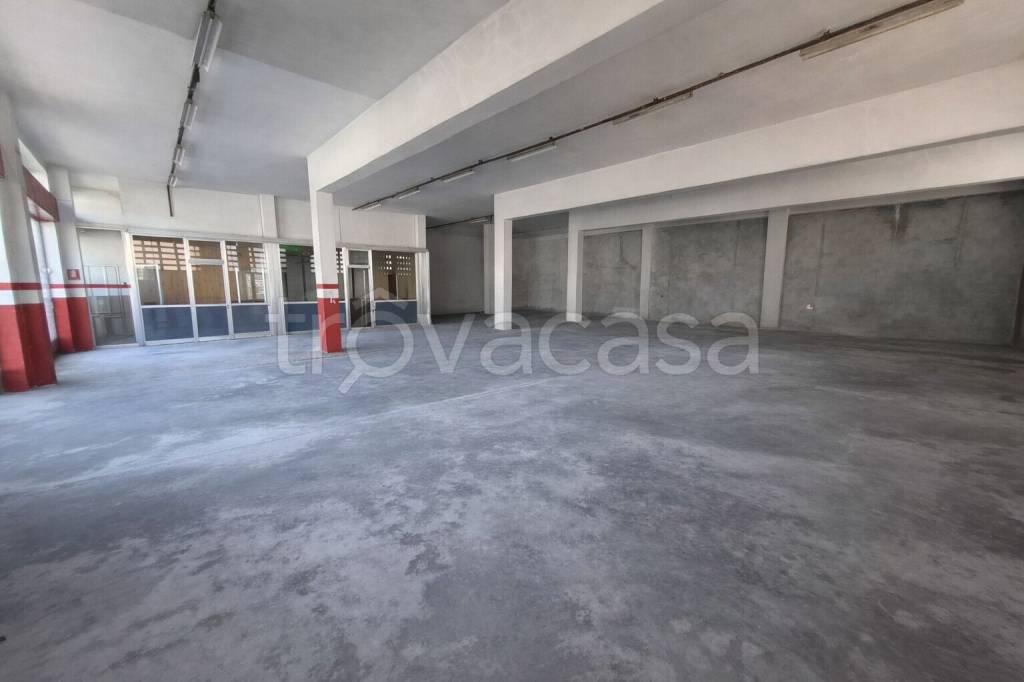 immagine annuncio 4 di 12