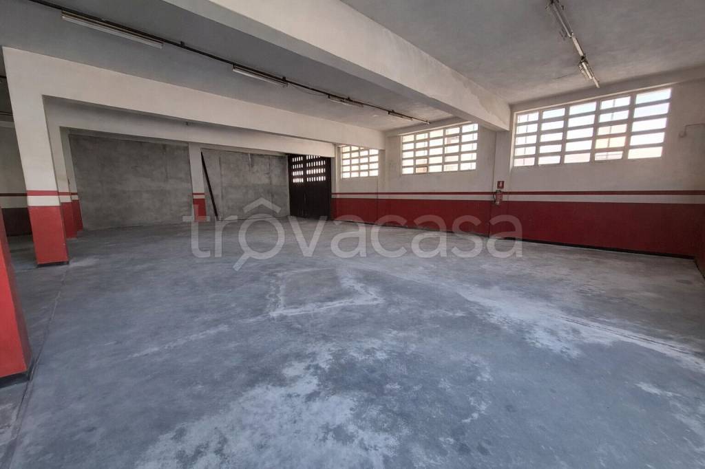 immagine annuncio 5 di 12