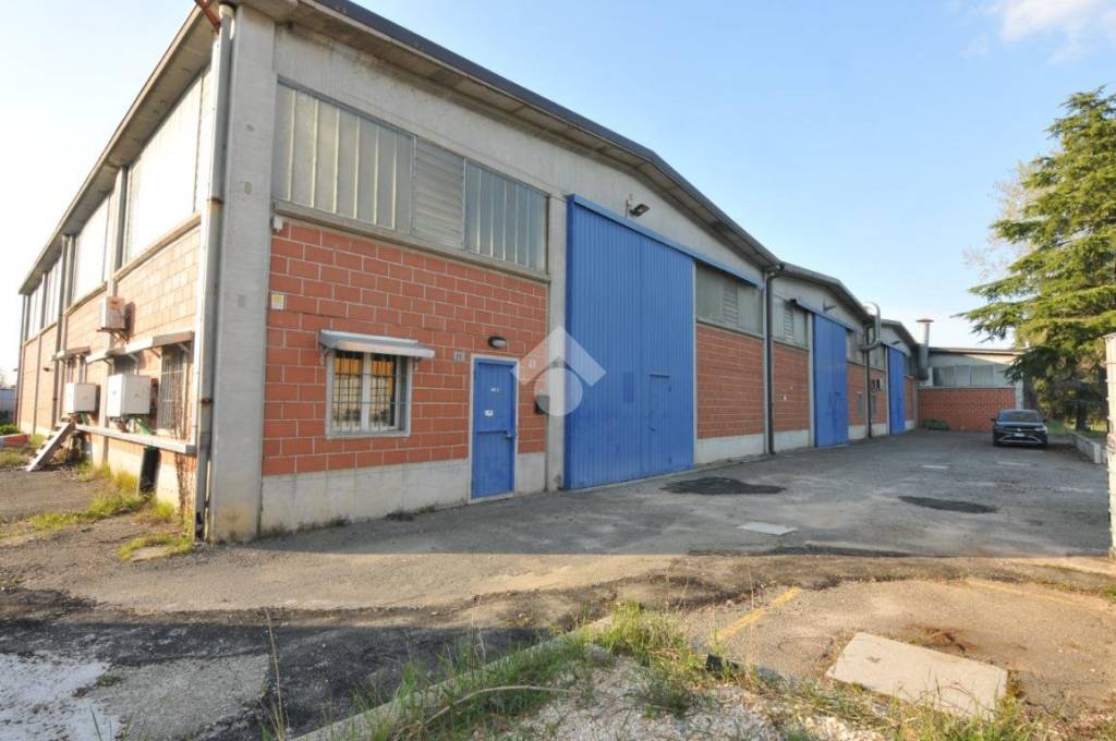 immagine annuncio 14 di 15