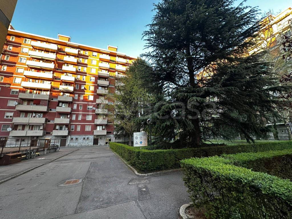 immagine annuncio 1 di 12