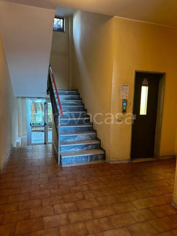 immagine annuncio 2 di 12