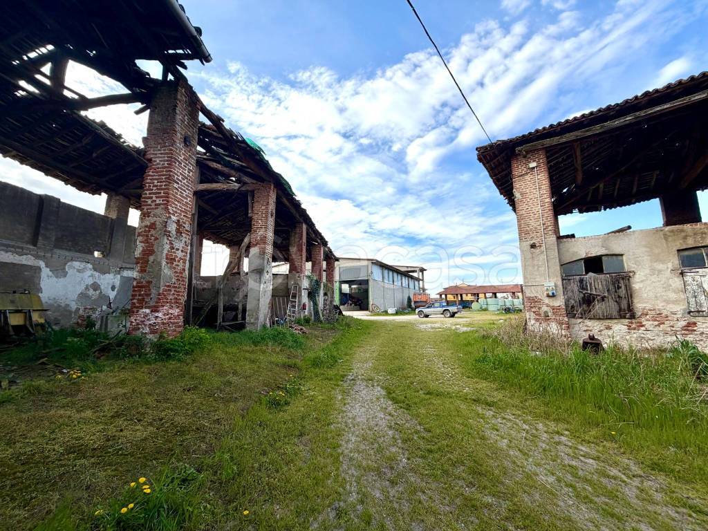 immagine annuncio 5 di 15