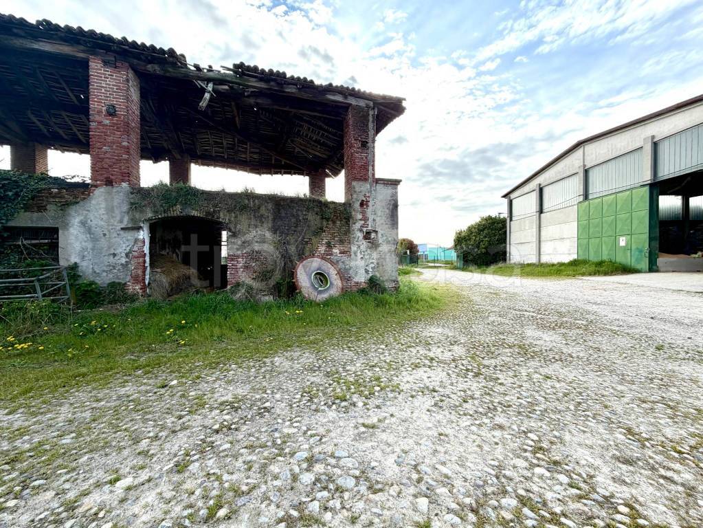 immagine annuncio 14 di 15
