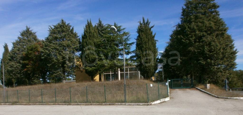 immagine annuncio 4 di 6