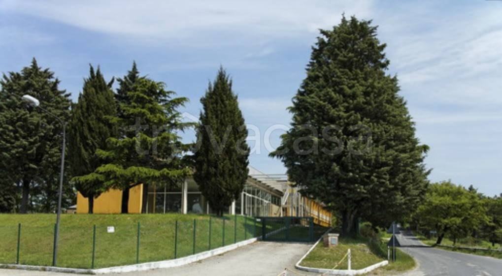 immagine annuncio 5 di 6