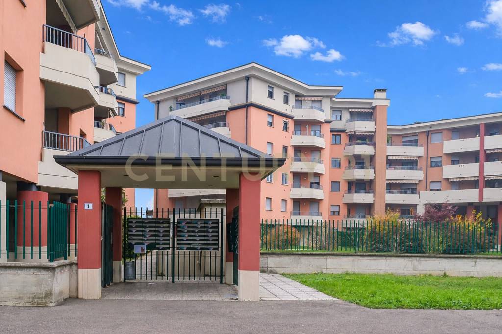 immagine annuncio 11 di 14