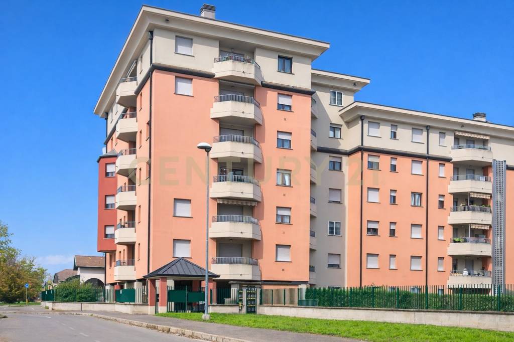 immagine annuncio 12 di 14