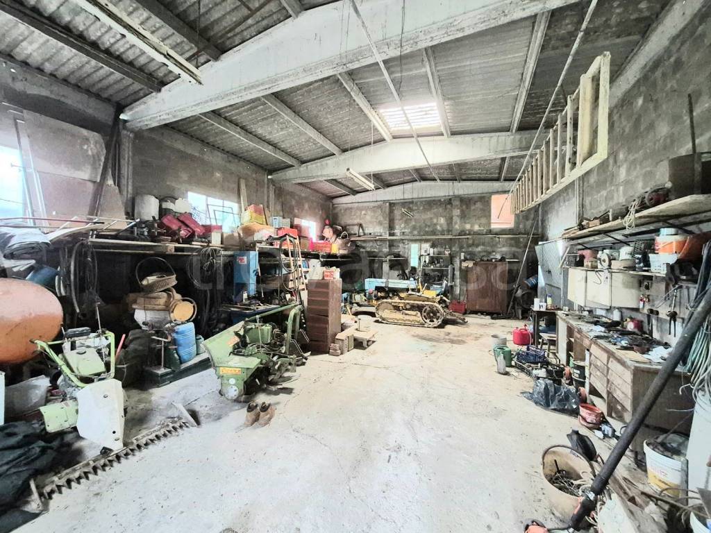 immagine annuncio 5 di 15