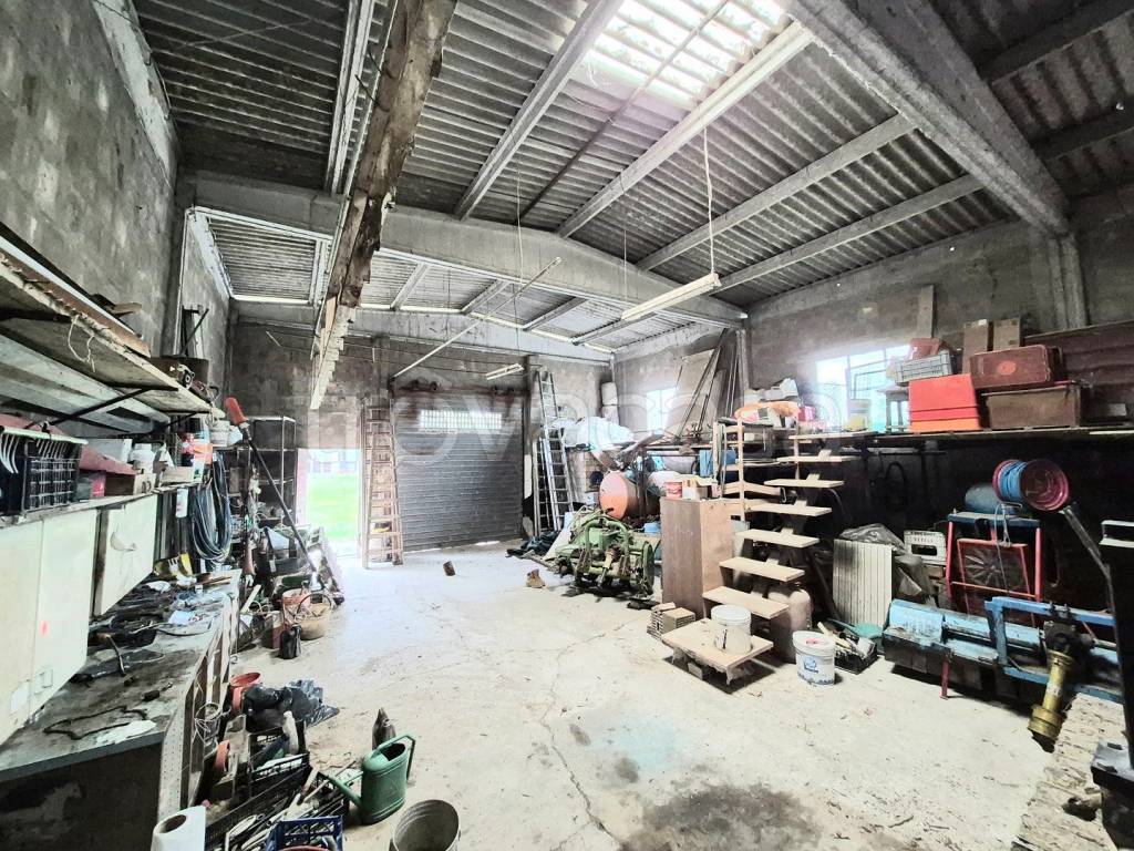 immagine annuncio 6 di 15