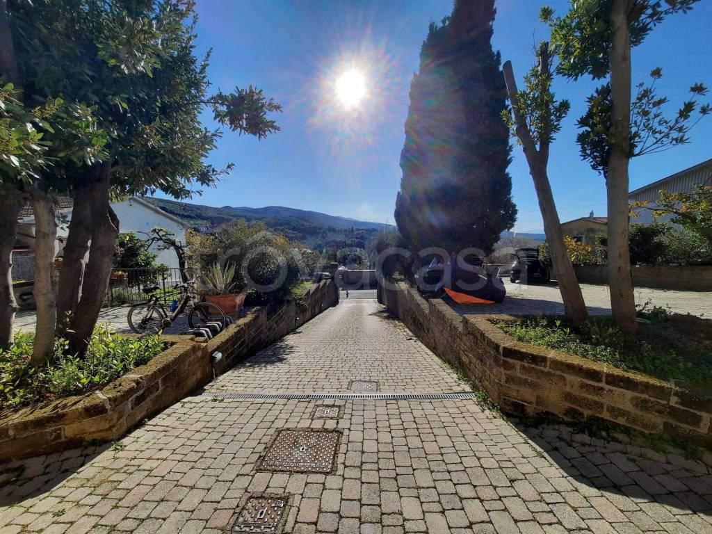 immagine annuncio 2 di 13