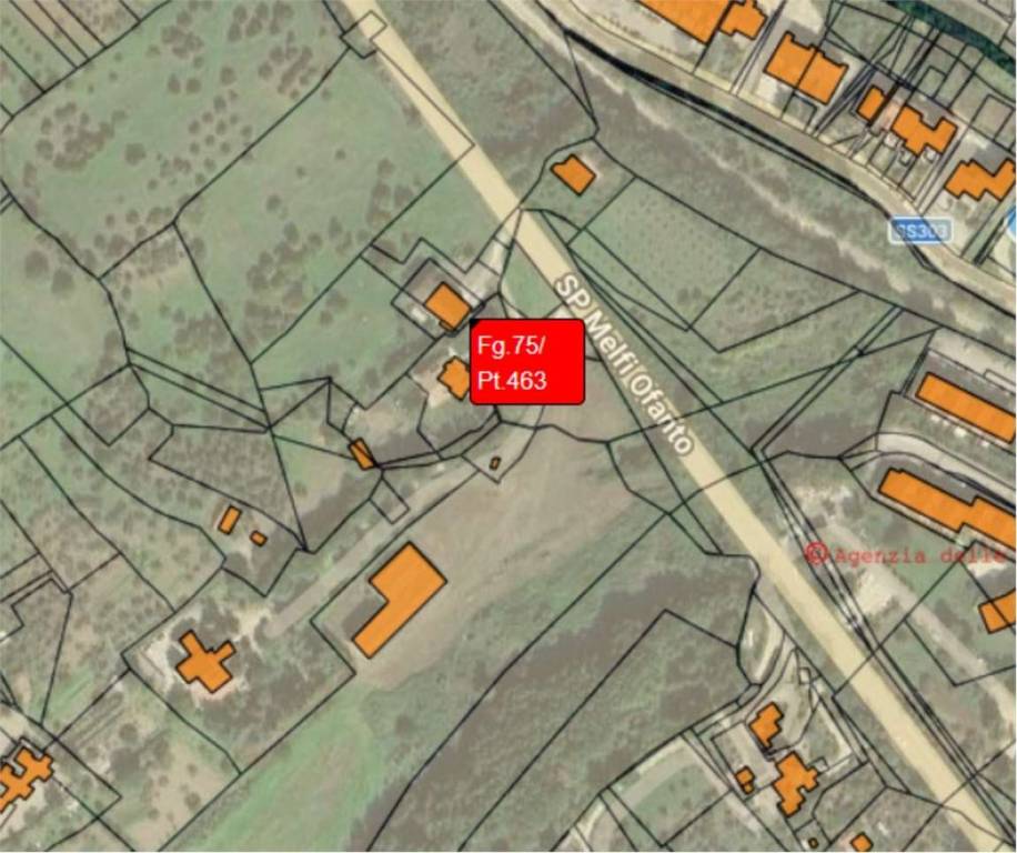 immagine annuncio 6 di 13