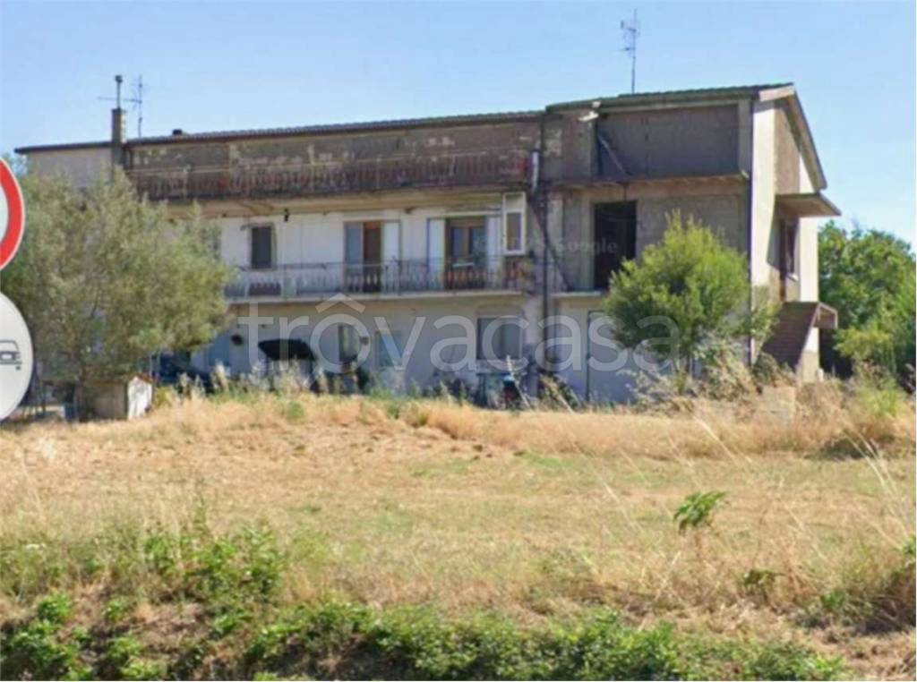 immagine annuncio 12 di 13