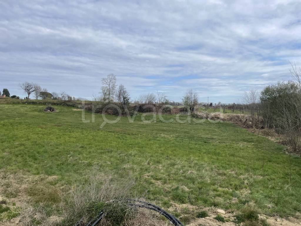 immagine annuncio 4 di 8