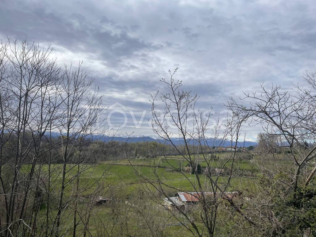 immagine annuncio 5 di 8