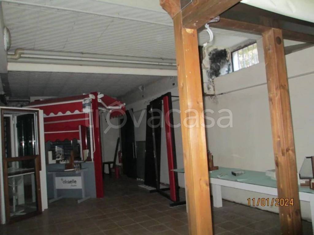 immagine annuncio 4 di 14