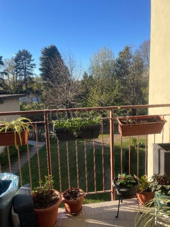 immagine annuncio 12 di 14