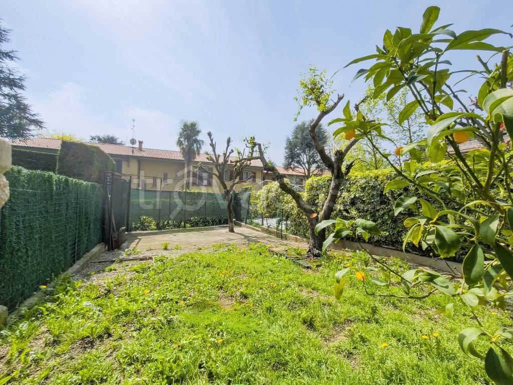 immagine annuncio 5 di 15