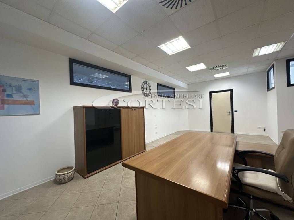 immagine annuncio 9 di 13