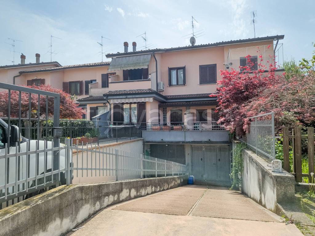 immagine annuncio 1 di 15