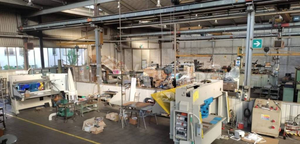 immagine annuncio 12 di 15