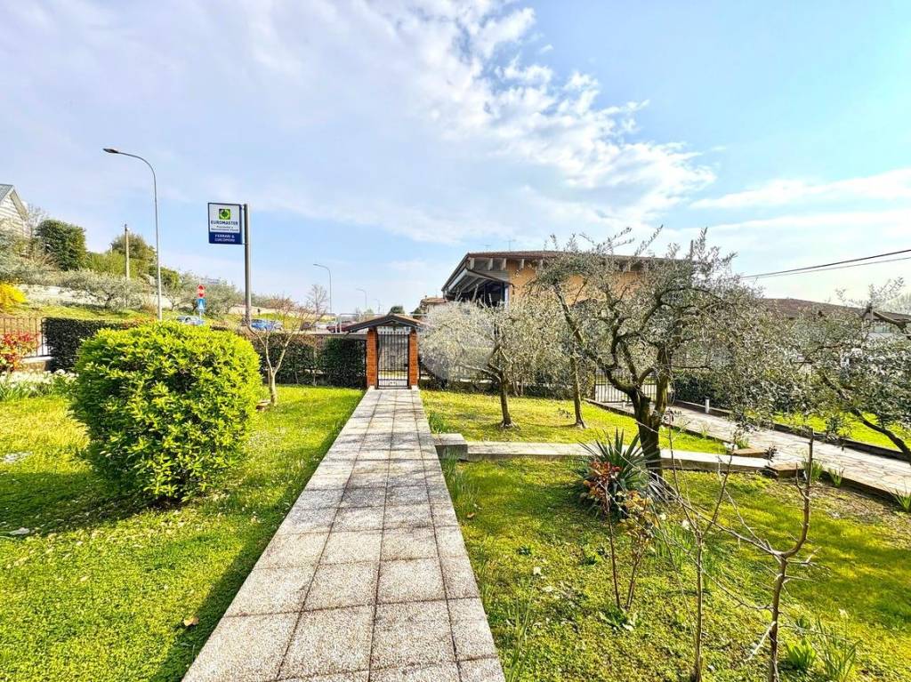 immagine annuncio 9 di 15