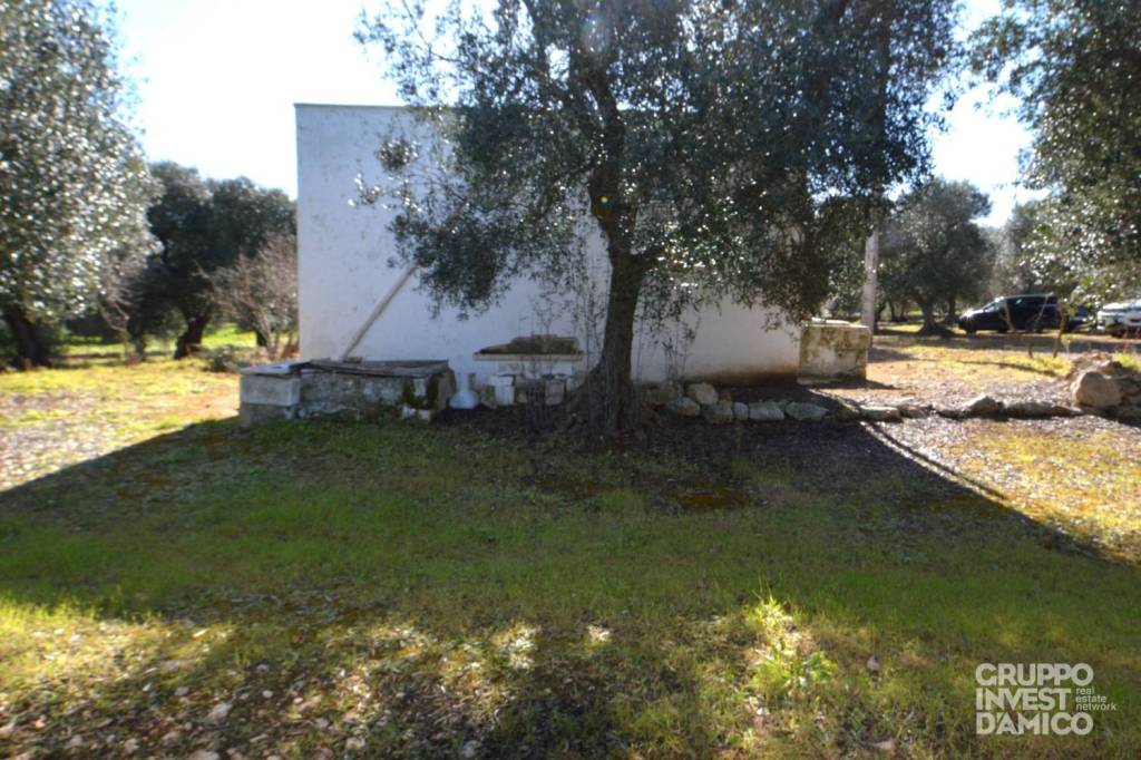 immagine annuncio 3 di 7