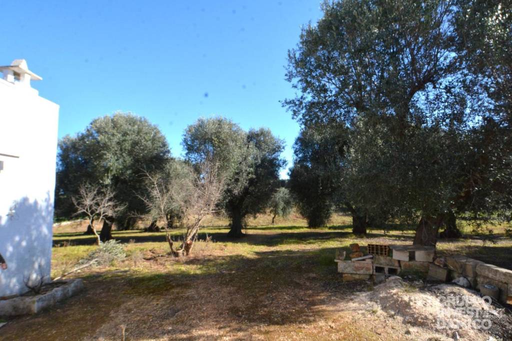 immagine annuncio 4 di 7