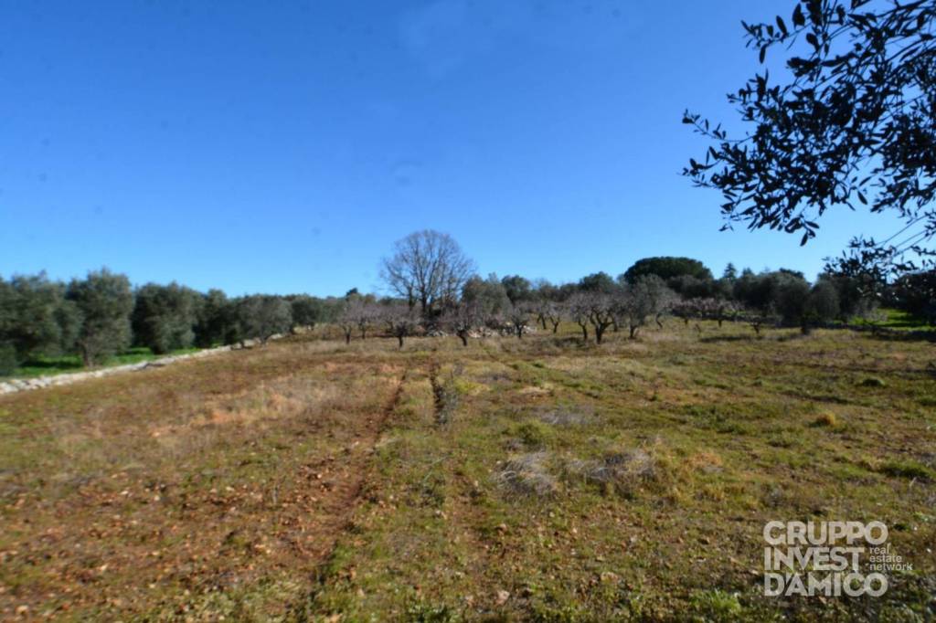 immagine annuncio 6 di 7