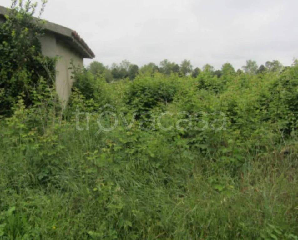 immagine annuncio 7 di 11