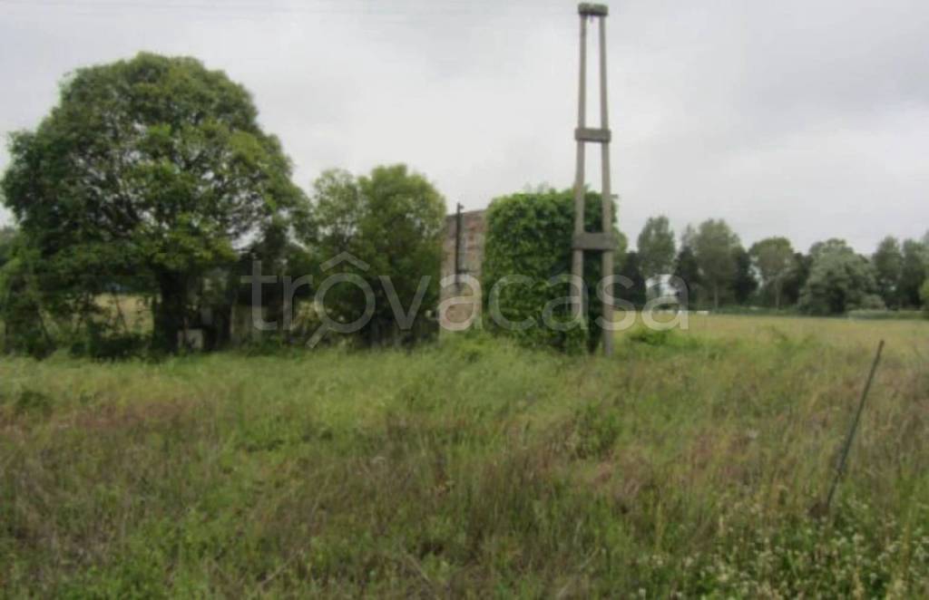 immagine annuncio 8 di 11