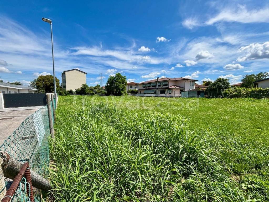 immagine annuncio 3 di 6