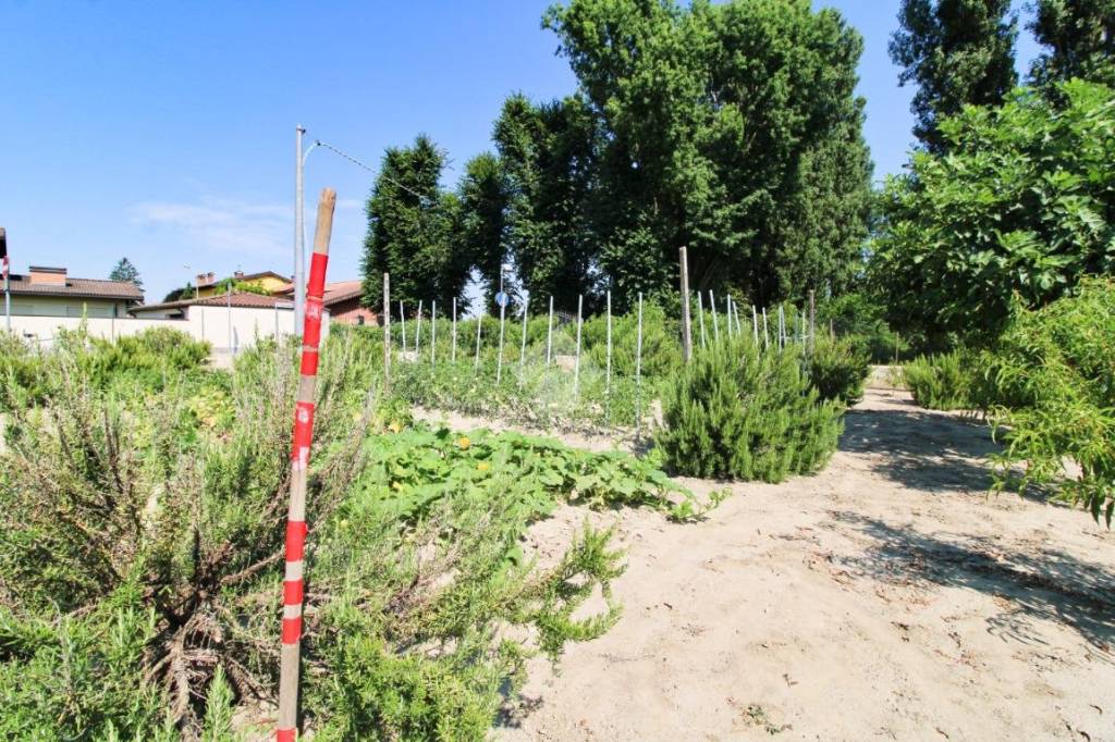 immagine annuncio 2 di 6