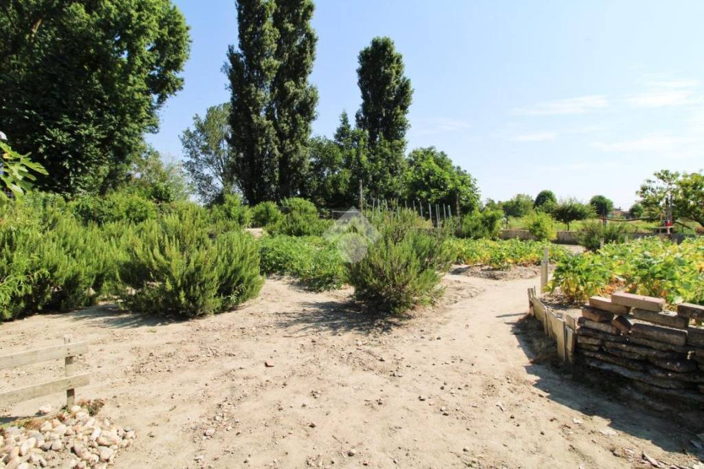 immagine annuncio 3 di 6