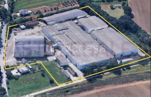 immagine annuncio 2 di 8