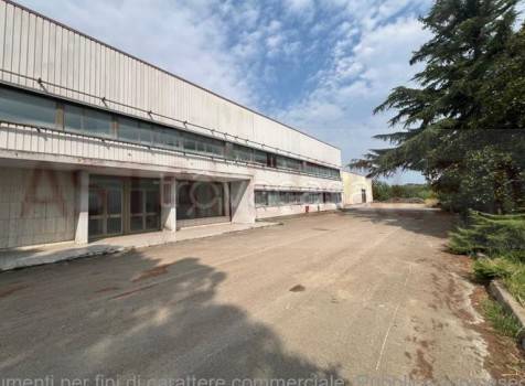 immagine annuncio 3 di 8