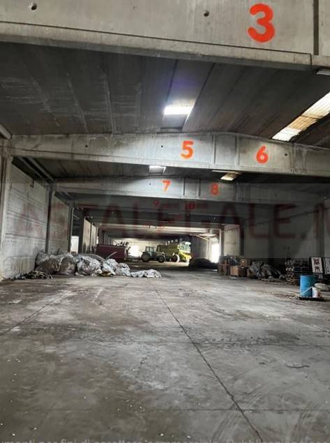 immagine annuncio 5 di 8