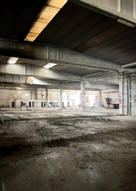 immagine annuncio 6 di 8