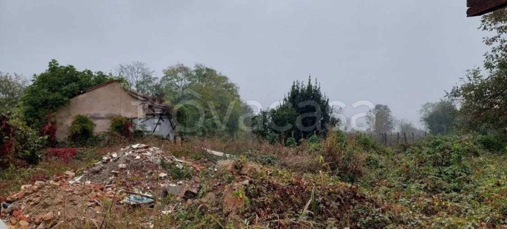 immagine annuncio 8 di 12