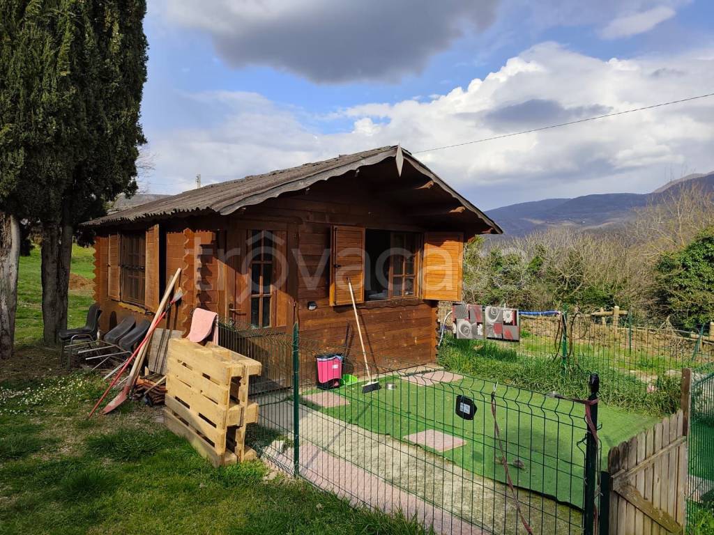 immagine annuncio 5 di 15