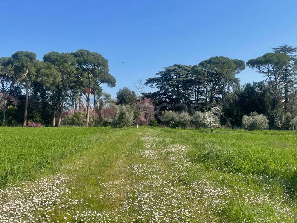 immagine annuncio 5 di 7